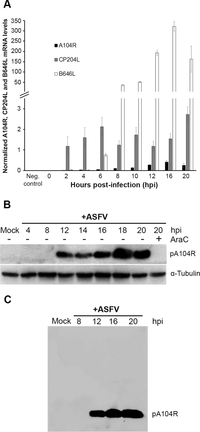 FIG 6