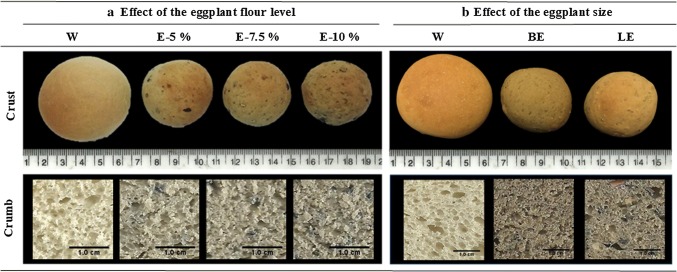 Fig. 1