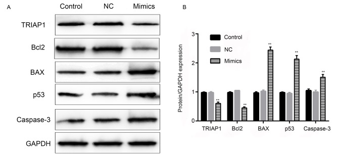 Figure 9.