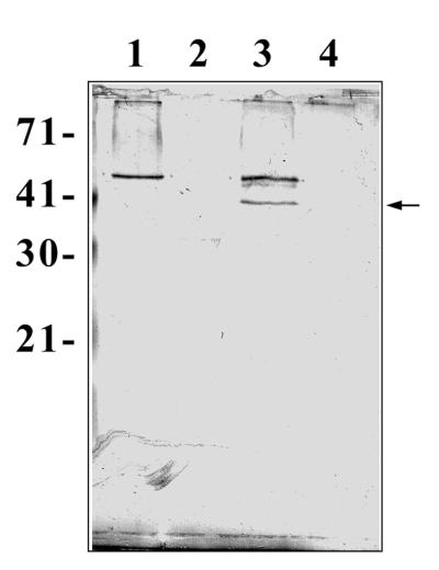 FIG. 7