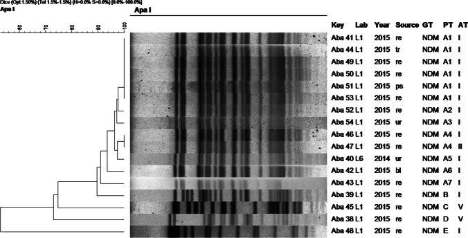 Fig. 6