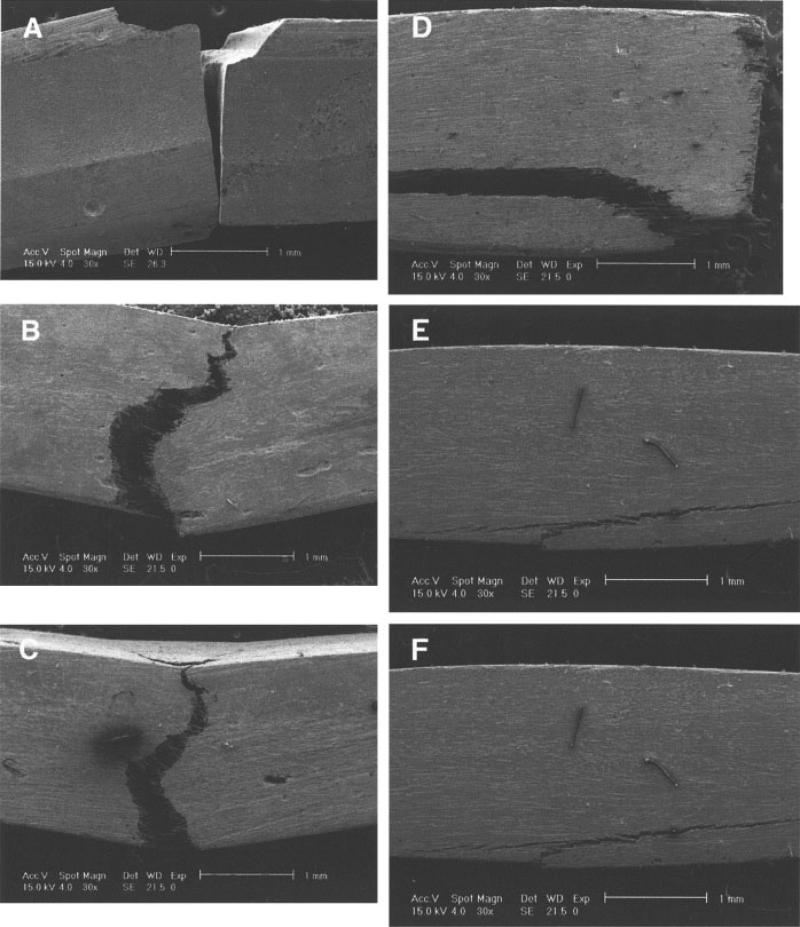 FIG. 8