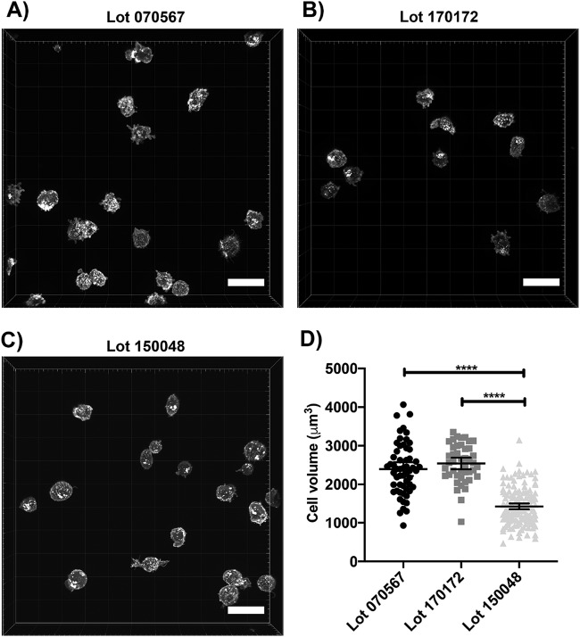 FIG 2