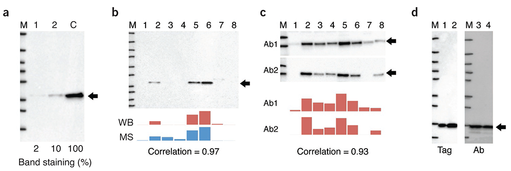 Figure 1 |