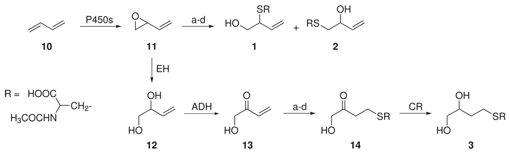 Scheme 1