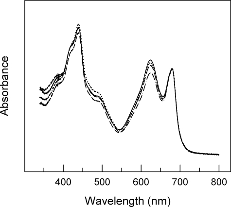 FIGURE 1.