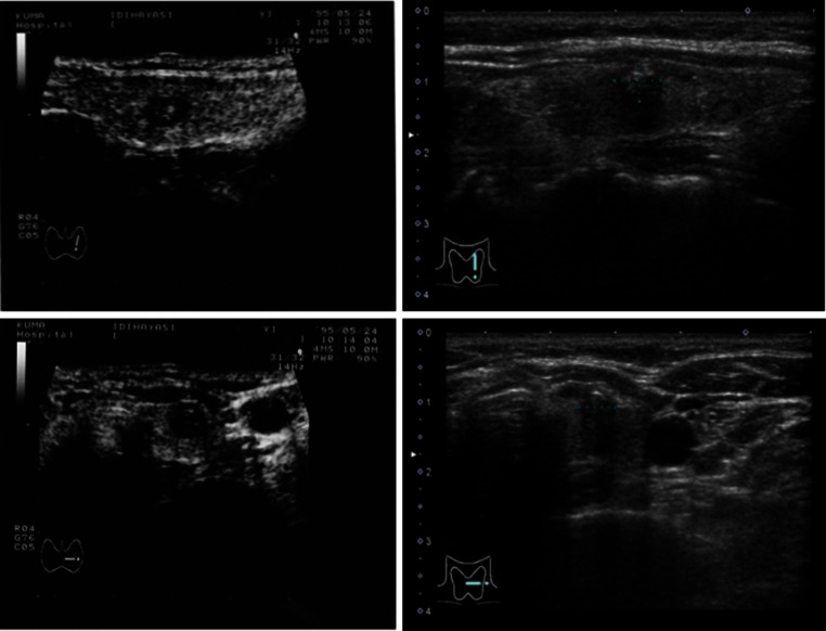 Fig. 4