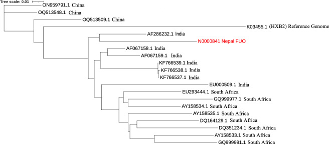 The image displays a phylogenetic tree showing the Nepalese HIV-1 isolate compared to 18 genome sequences with the highest similarity. The tree reveals that N0000841 clusters within the HIV-1 clade, which has been reported from India.