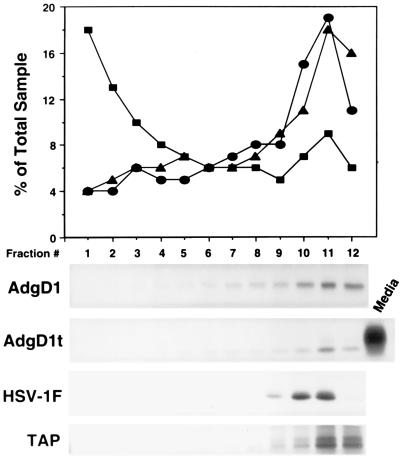 FIG. 5