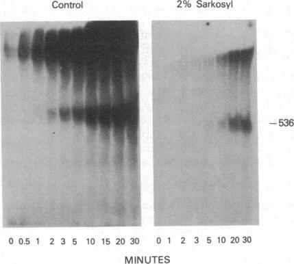 graphic file with name pnas00620-0014-a.jpg