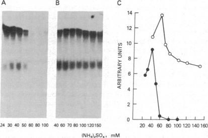 graphic file with name pnas00620-0013-a.jpg