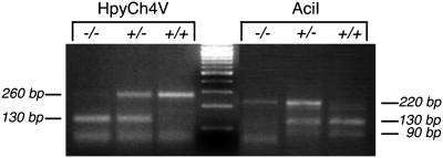 Fig 3.