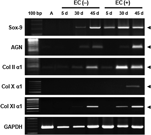 FIG. 9.