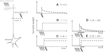 Fig. 1