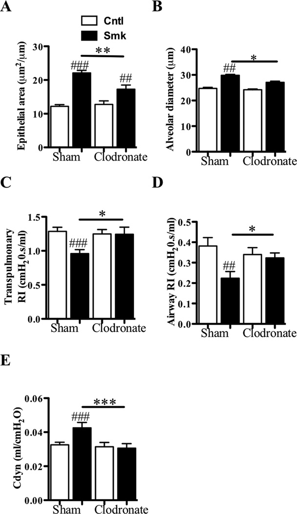 FIG 6