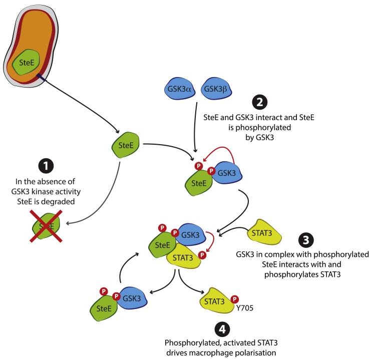 Figure 6