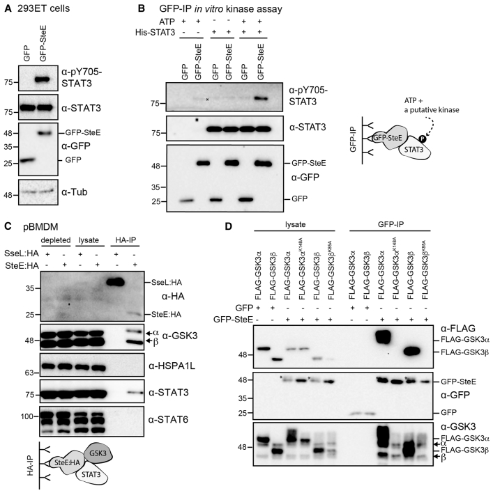 Figure 2