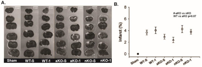 Figure 6: