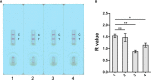 Figure 3