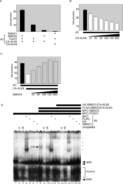 Figure 6.