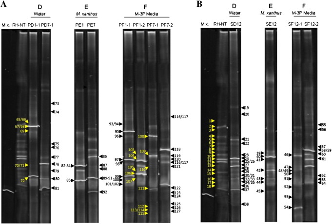 Fig. 4