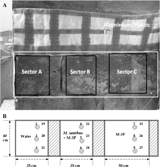 Fig. 1