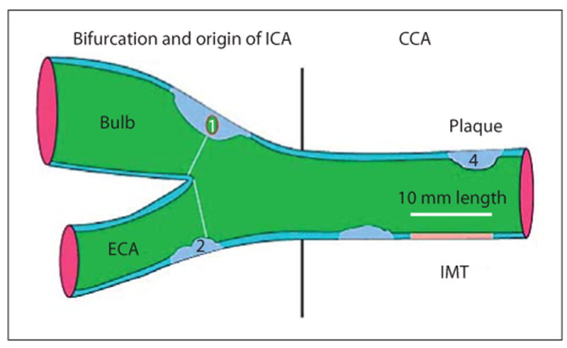 Fig. 3