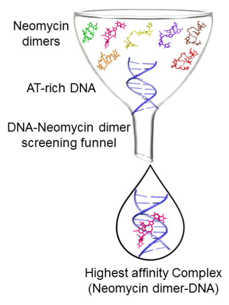 graphic file with name nihms689149u1.jpg