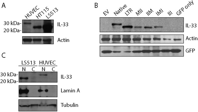 Fig 8