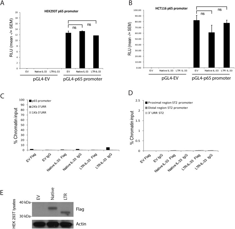 Fig 10