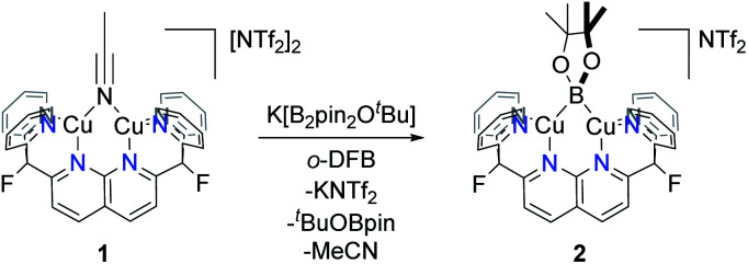 Scheme 3