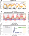 Figure 2—figure supplement 3.