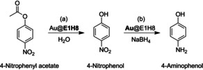 Scheme 2