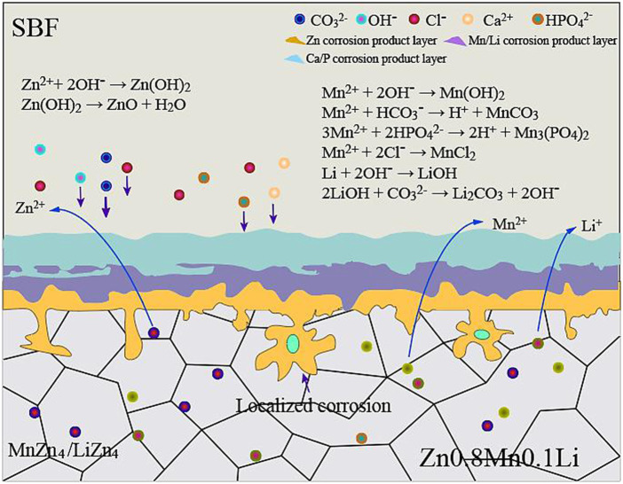 FIGURE 11