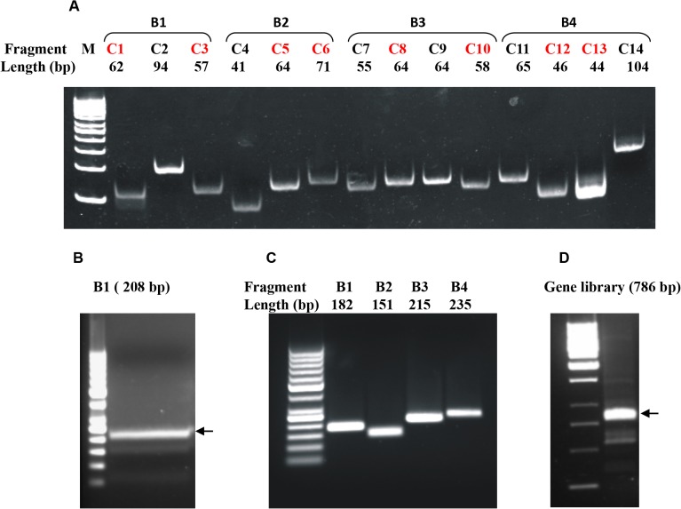 Fig 4