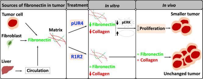 Image, graphical abstract