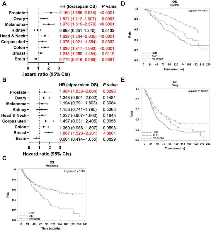 Figure 6. Lorazepam is associated with worse patient survival across multiple cancer types. A and B, Association between prescription or infusion records of (A) LOR or (B) ALP and OS by cancer type in Roswell Park patients with a diagnostic date from 2000 to 2022; significant values are highlighted in red. C–E, Kaplan–Meier curve comparing OS in Roswell Park patients with prescription or infusion records of LOR or ALP, or those with no history of BZD use treated for primary (C) invasive nevi or melanoma, (D) prostate cancer, or (E) ovarian cancer. Statistics: Multivariate Cox regression modeling was performed to measure associations between survival outcomes and cohort. Models were adjusted for sex (where applicable), clinical grade, and clinical stage. HR and corresponding 95% CIs were provided for individual LOR and ALP groups, with “No Benzo” as the referent group. Type 3 test was used, and an overall P value measuring the association between survival and cohort was provided. CI, confidence interval; HR, hazard ratio; OS, overall survival.