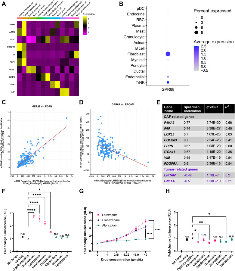 Figure 4. N-unsubstituted benzodiazepines potentiate activation of GPR68, a receptor preferentially expressed on human PDAC CAFs. A, Heat map of GPR68 and TSPO expression by cell type from the Peng et al (22) human pancreatic ductal adenocarcinoma tumor single-cell sequencing data set. Yellow represents upregulated gene expression relative to other cell types within a row. B, Dot plot visualization of GPR68 gene expression level (color intensity) and frequency (size of dot) in different cell populations of human PDAC samples from Steele et al (25). C and D, Correlation plot of (C) GPR68 and PDPN, and (D) GPR68 and EPCAM in the human PDAC Pan-Cancer Atlas (TCGA data set). E, Summary table of the Spearman correlation of CAF-related genes with GPR68 in the human PDAC Pan-Cancer Atlas (TCGA data set). F–H, PRESTO-Tango Assay for GPR68 activation (F) pH 6.8 BZD screen; (G) pH 6.8 dose-response curve for LOR, CLZ, and ALP; and (H) pH 7.4 BZD screen. Each plot represents the normalized average of 2–3 biological replicates. Statistics: BZD screens were analyzed by ordinary one-way ANOVA with Dunnett multiple comparison test, and dose–response curves were analyzed by two-way ANOVA with Holm–Šídák multiple comparisons test.