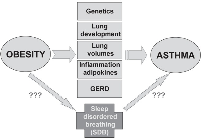 Figure 1)