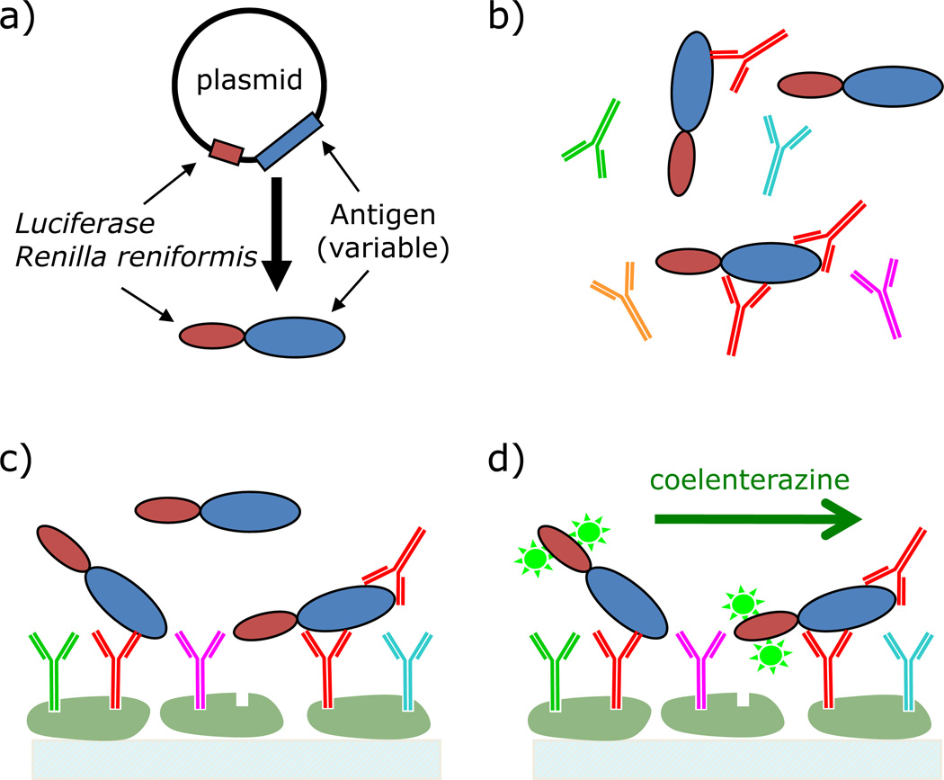 Fig. 2