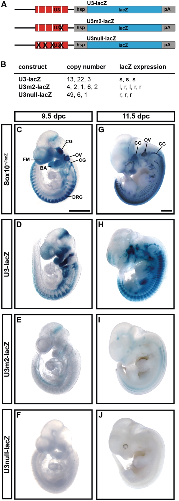 Figure 5.