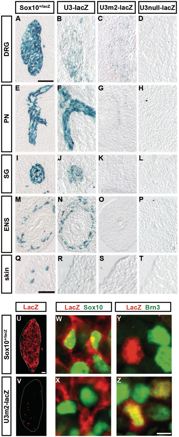 Figure 6.