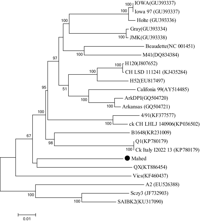 Fig. 1