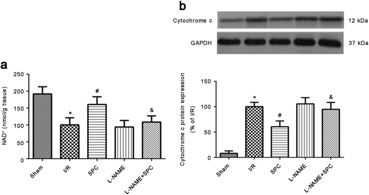 Fig. 11