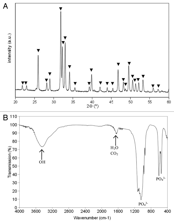 graphic file with name biom-2-103-g1.jpg