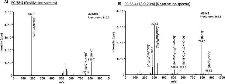 Fig 3