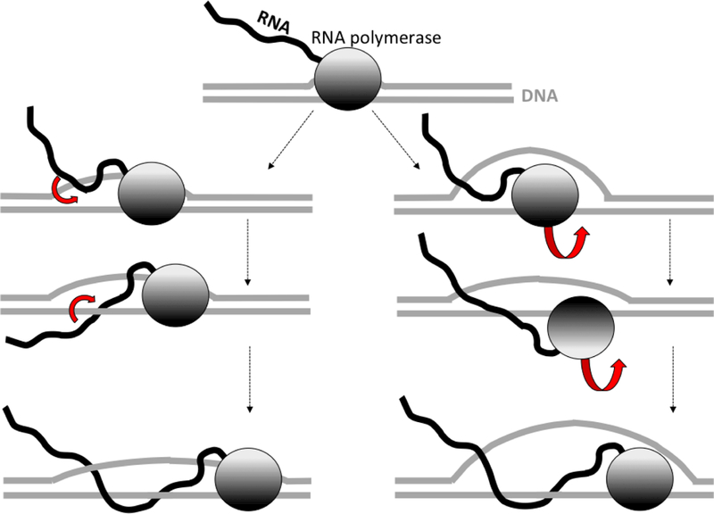 Fig.1.