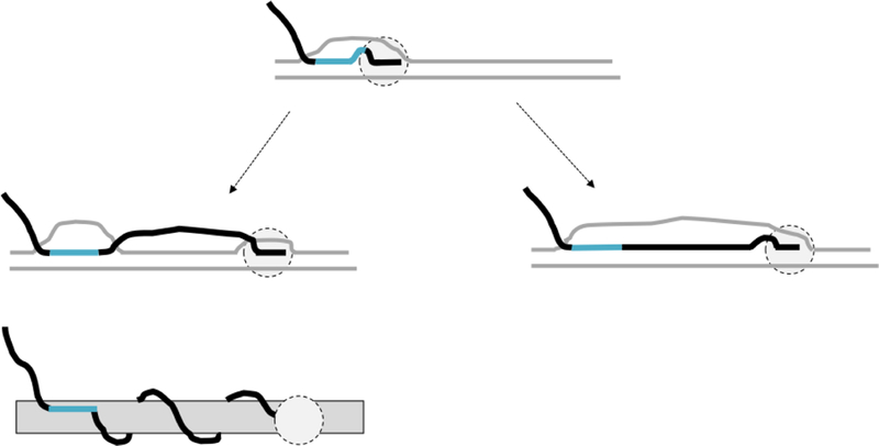 Fig.2.