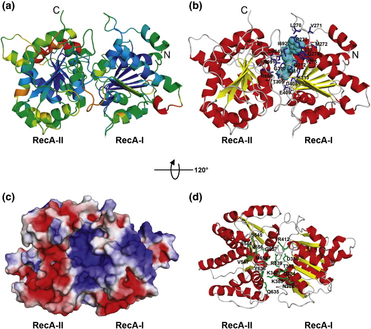 Figure 7