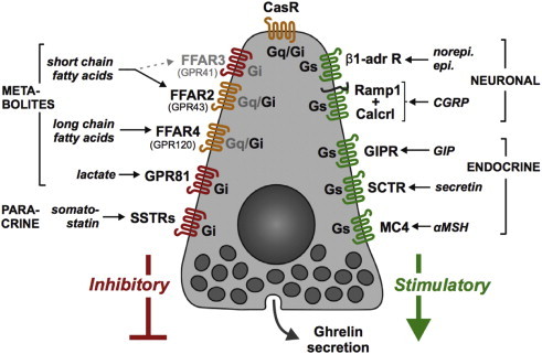 Figure 4